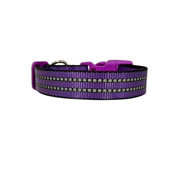 Reflective Dog Collar: S-L
