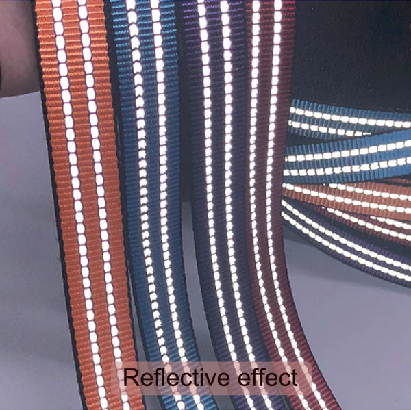 Reflective Dog Collar: S-L