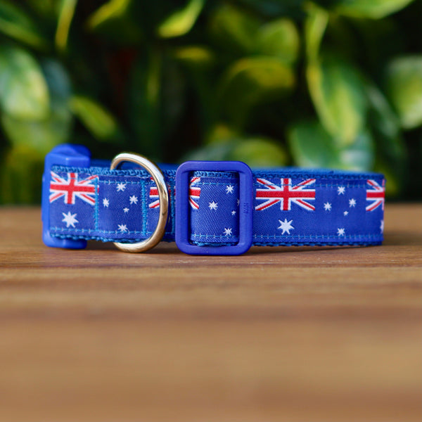 Dog collar featuring blue ribbon adorned with Australian Flags. The collar is on blue webbing and has a blue buckle.