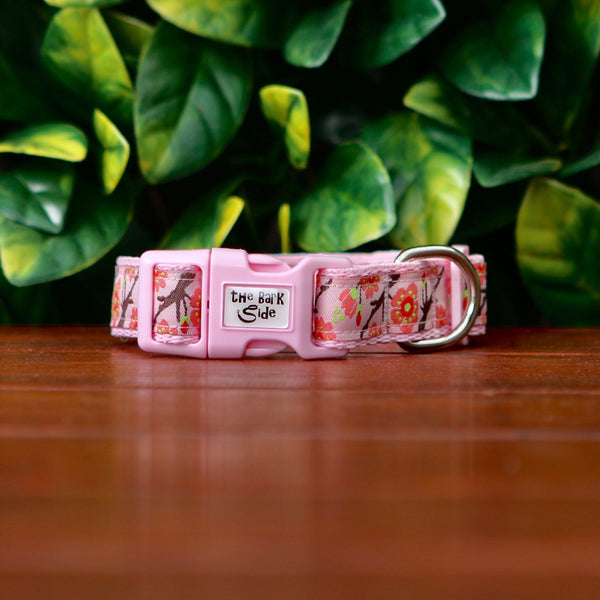 Cherry Blossom Dog Collar / Sakura / XS - M