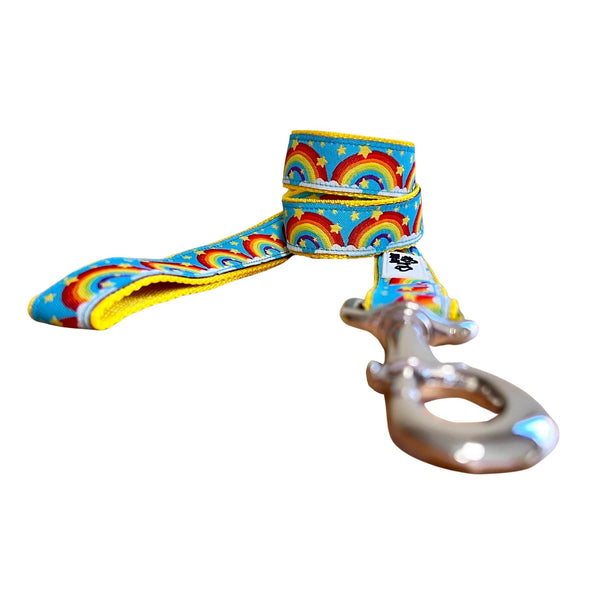 Rainbow Dog Lead - Leash