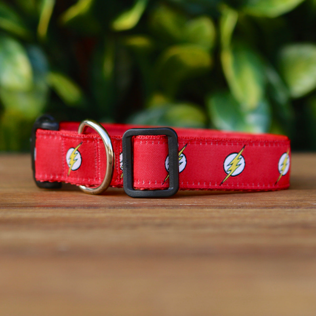 the-flash-dog-collar-xs-l-the-bark-side-dog-collars