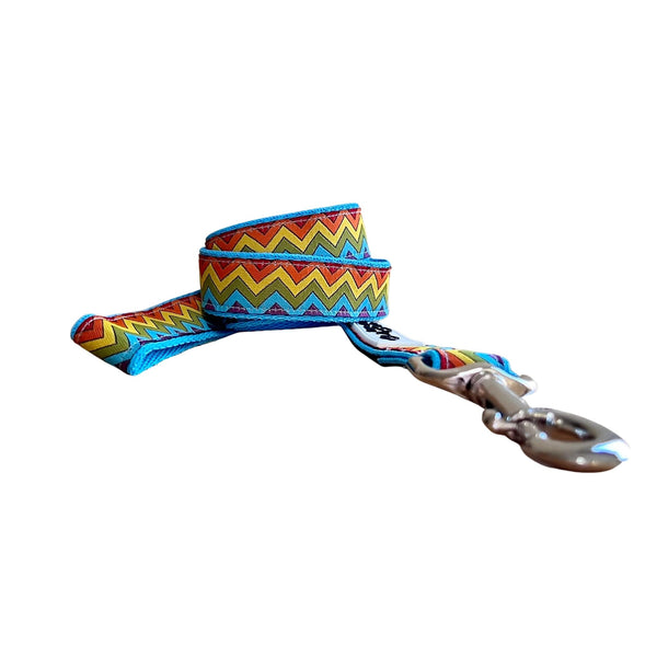 Rainbow Waves Dog Lead / Dog Leash