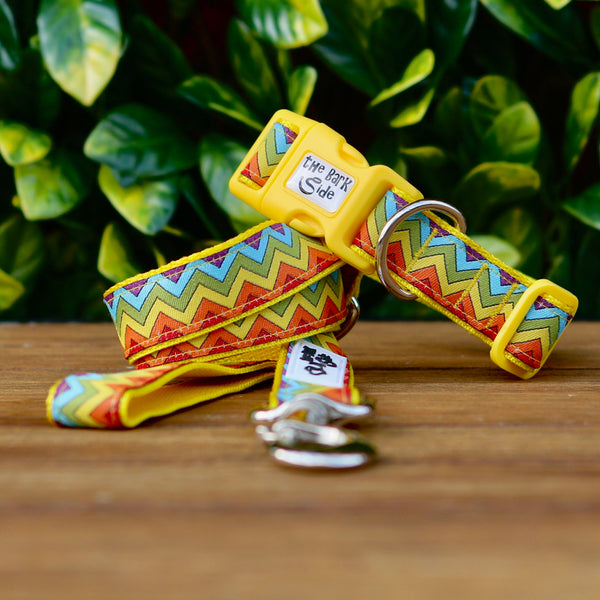 Rainbow Waves Dog Lead - Leash