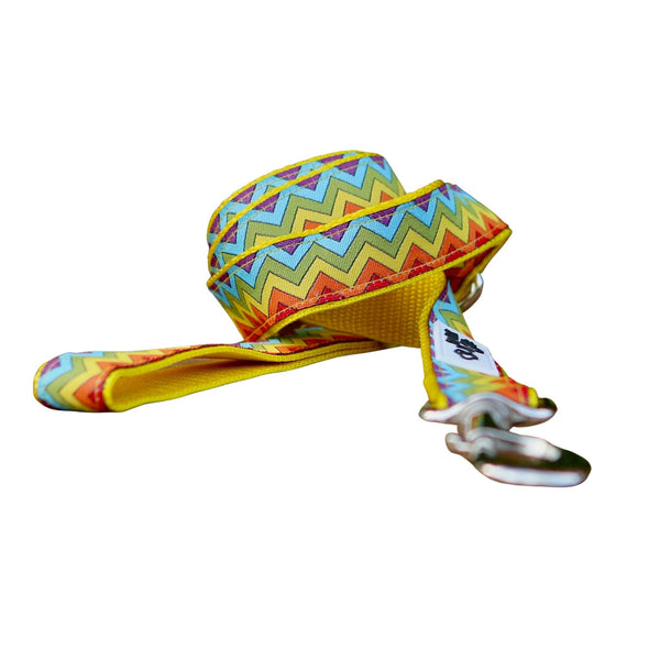Rainbow Waves Dog Lead - Leash