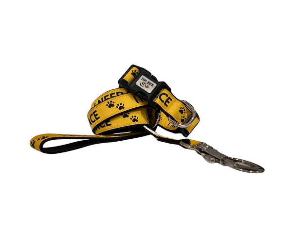 'I Need Space' Dog Lead - Leash