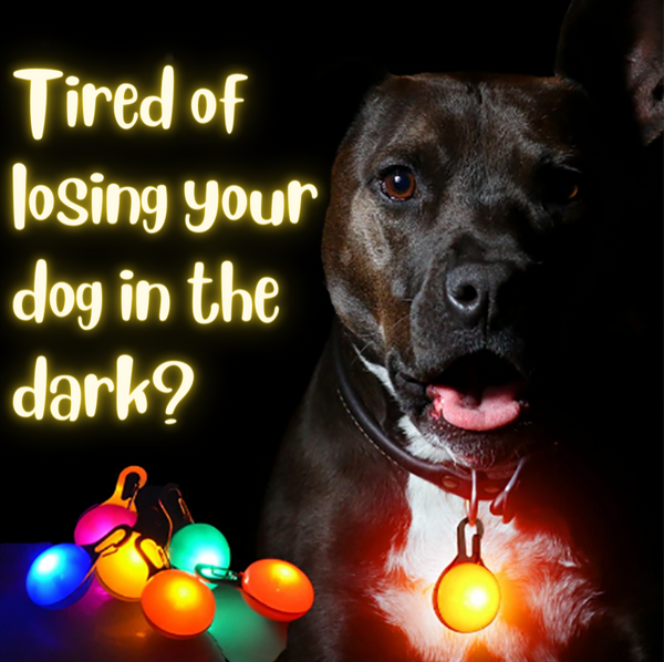 Collar LED Light