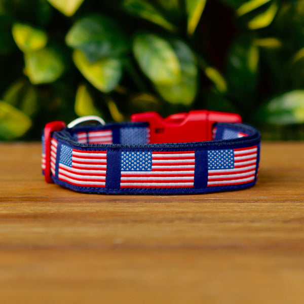 Dog collar featuring a blue ribbon adorned with American Flags. The collar has blue webbing and a red buckle. 