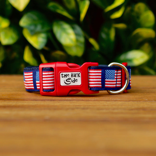 Dog collar featuring a blue ribbon adorned with American Flags. The collar has blue webbing and a red buckle.