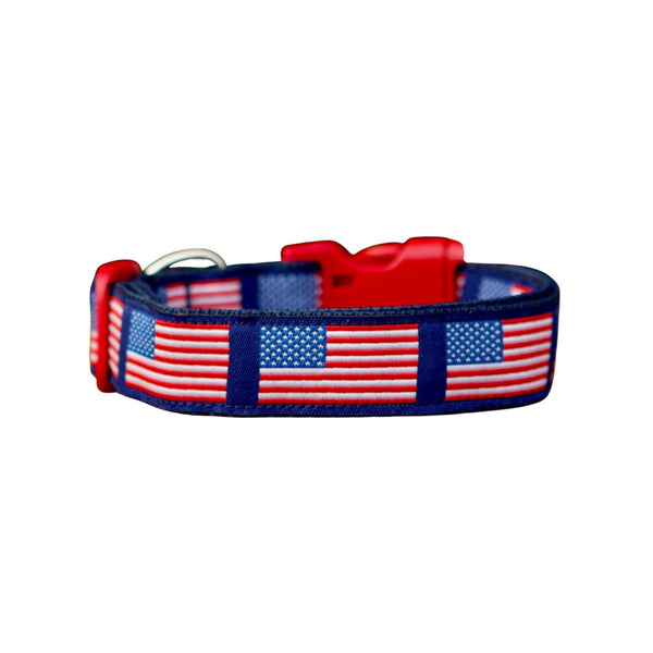 Dog collar featuring a blue ribbon adorned with American Flags. The collar has blue webbing and a red buckle.