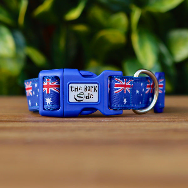 Dog collar featuring blue ribbon adorned with Australian Flags. The collar is on blue webbing and has a blue buckle.