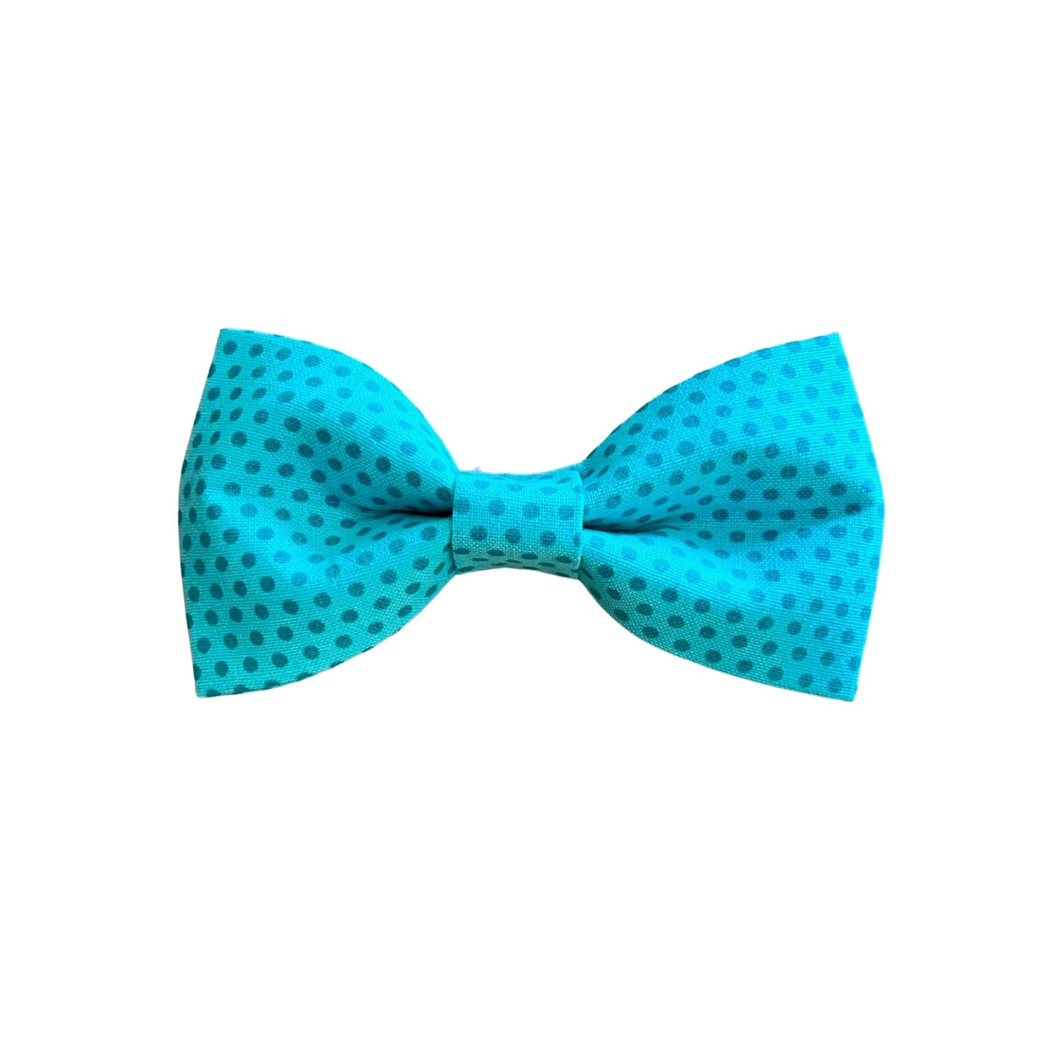 Aqua bow tie with small teal spots. 