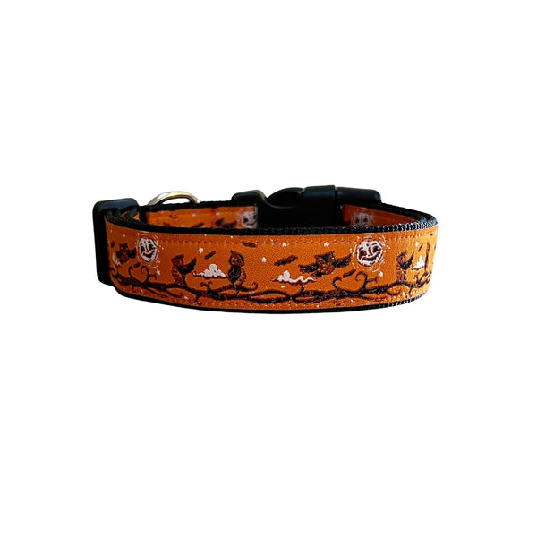 Dog collar featuring a spooky Halloween themed design on an orange ribbon. The collar has black webbing and buckle.