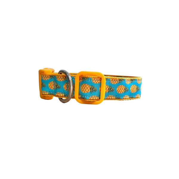 Pineapple Dog Collar / XS - L