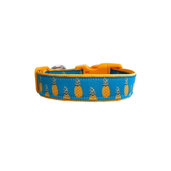 Pineapple Dog Collar / XS - L
