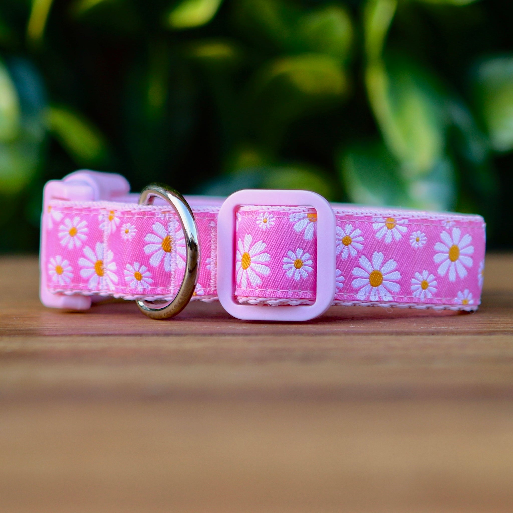 Pink daisy dog collar best sale