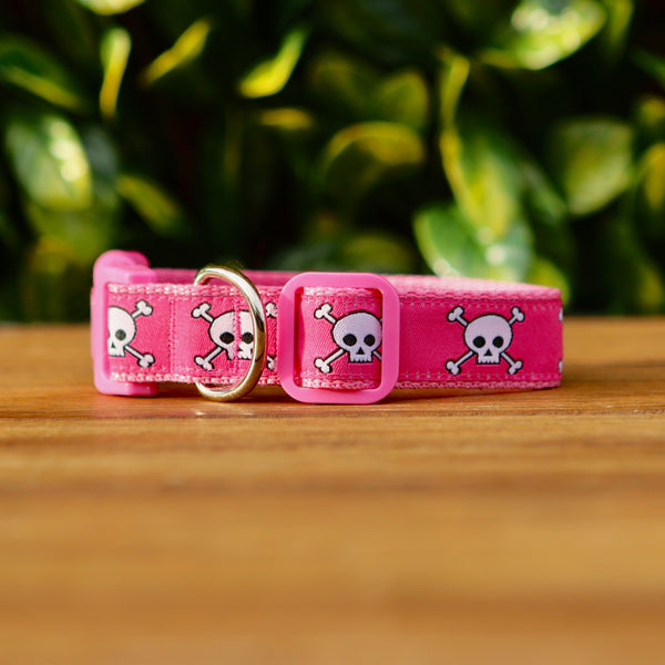Pink Skulls Dog Collar / XS - L
