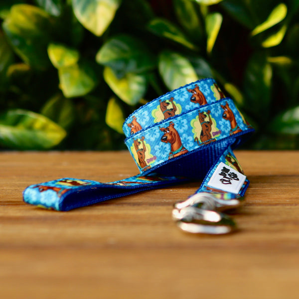 Dog leash featuring a blue ribbon with Scooby Doo pattern, on blue webbing. 