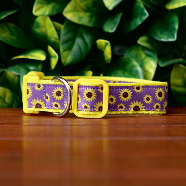 Side view of dog collar with a cheerful sunflower design. The collar features a purple ribbon with bright yellow sunflowers on yellow webbing.