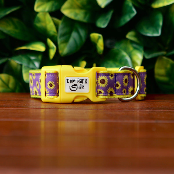Front view of dog collar with a cheerful sunflower design. The collar features a purple ribbon with bright yellow sunflowers on yellow webbing.