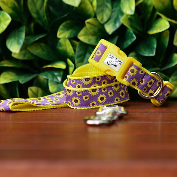 Dog collar and leash with a cheerful sunflower design. The collar and leash feature a purple ribbon with bright yellow sunflowers on yellow webbing.