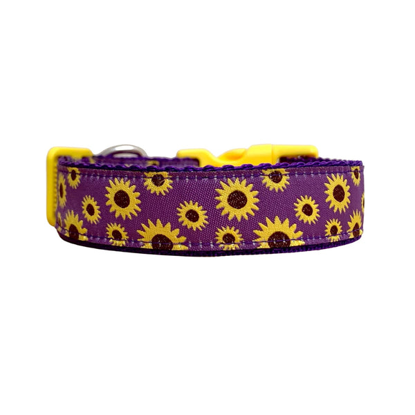 Close up of a dog collar with a cheerful sunflower design. The collar features a purple ribbon with bright yellow sunflowers on vibrant purple webbing.