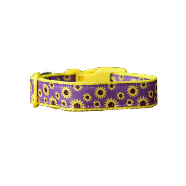 Dog collar with a cheerful sunflower design. The collar features a purple ribbon with a pattern of bright yellow sunflowers on yellow webbing.