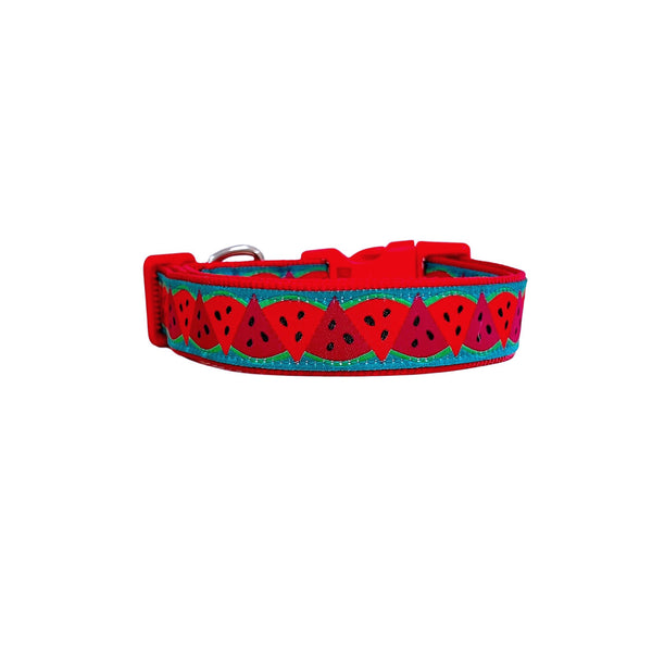 Watermelon Dog Collar / XS - L